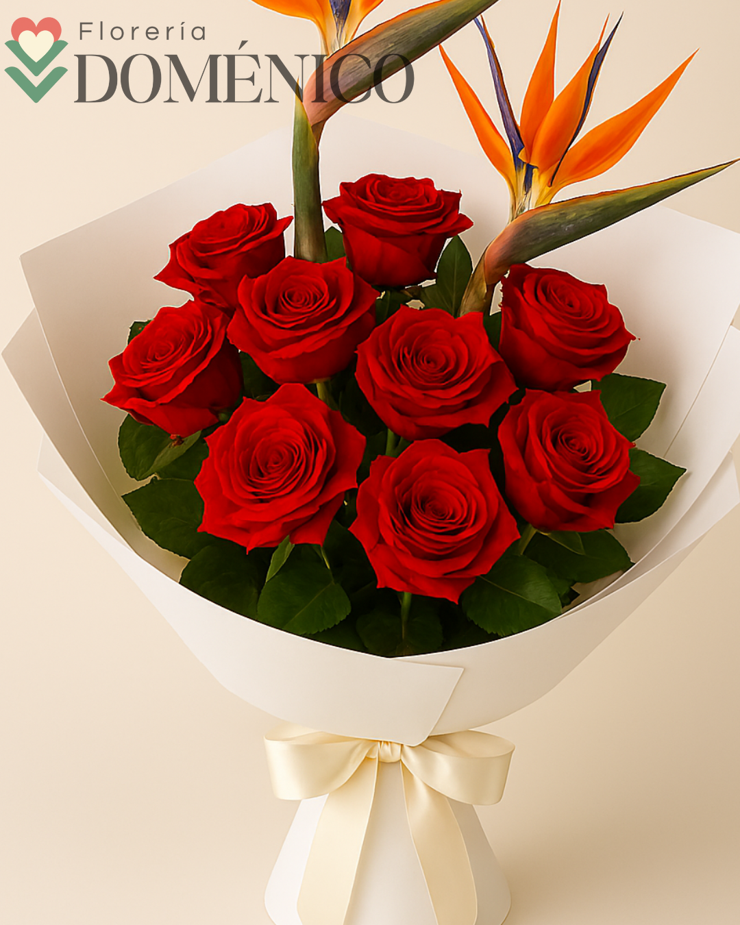 Ave del paraíso + Rosas rojas